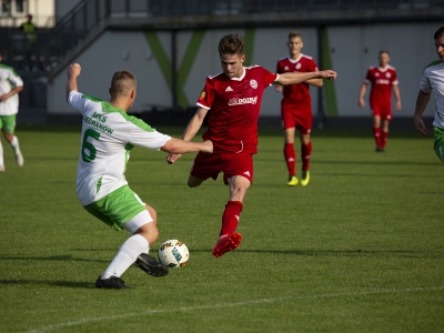 FESTIWAL STRZELECKI