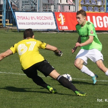 Dolcan Ząbki - Wisła Płock (2)