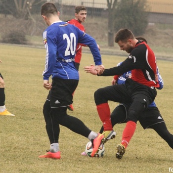 Sparing Dolcan Ząbki - Polonia Warszawa