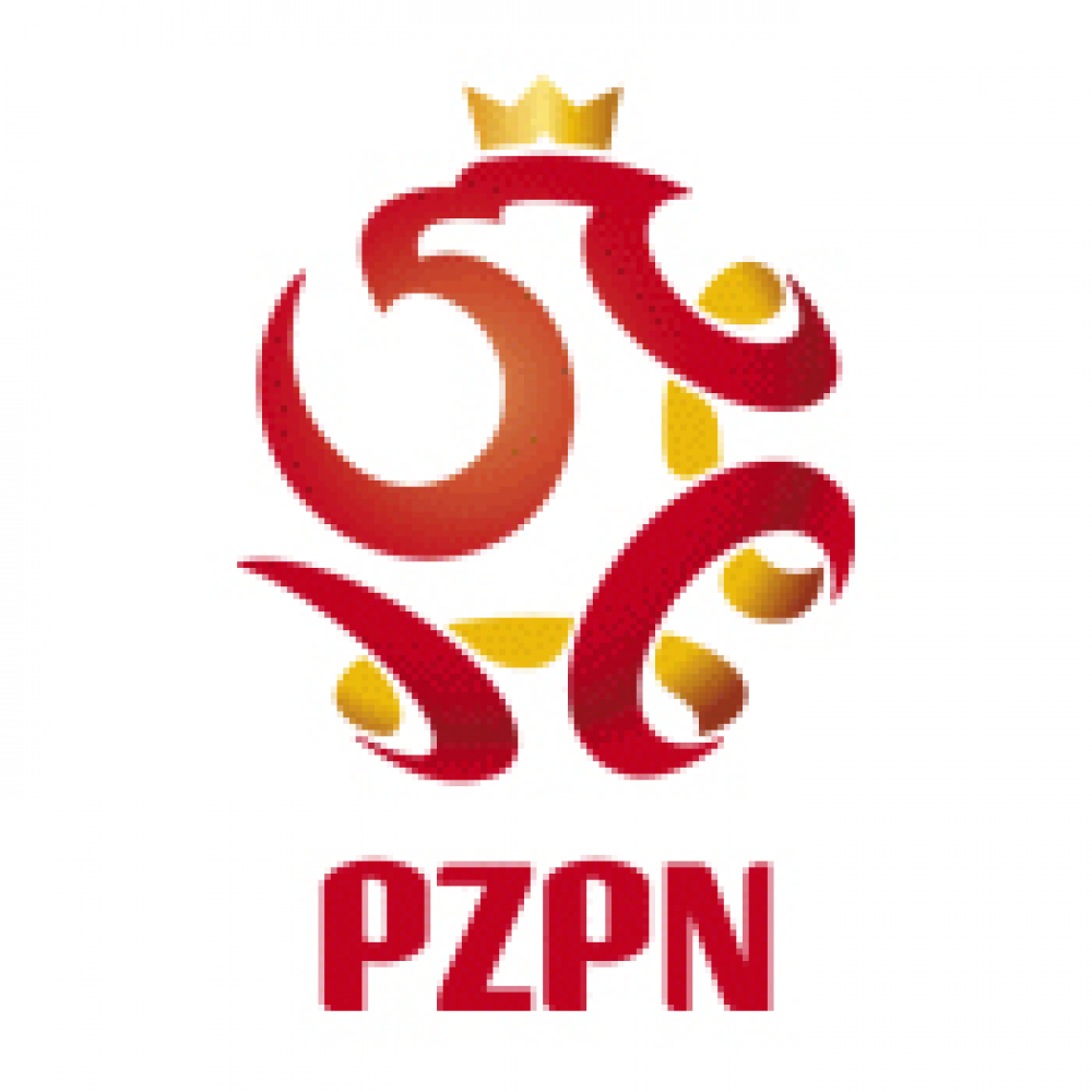 Sebastian Krasny sędzią meczu Polonia - Dolcan