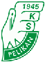 Pelikan Łowicz